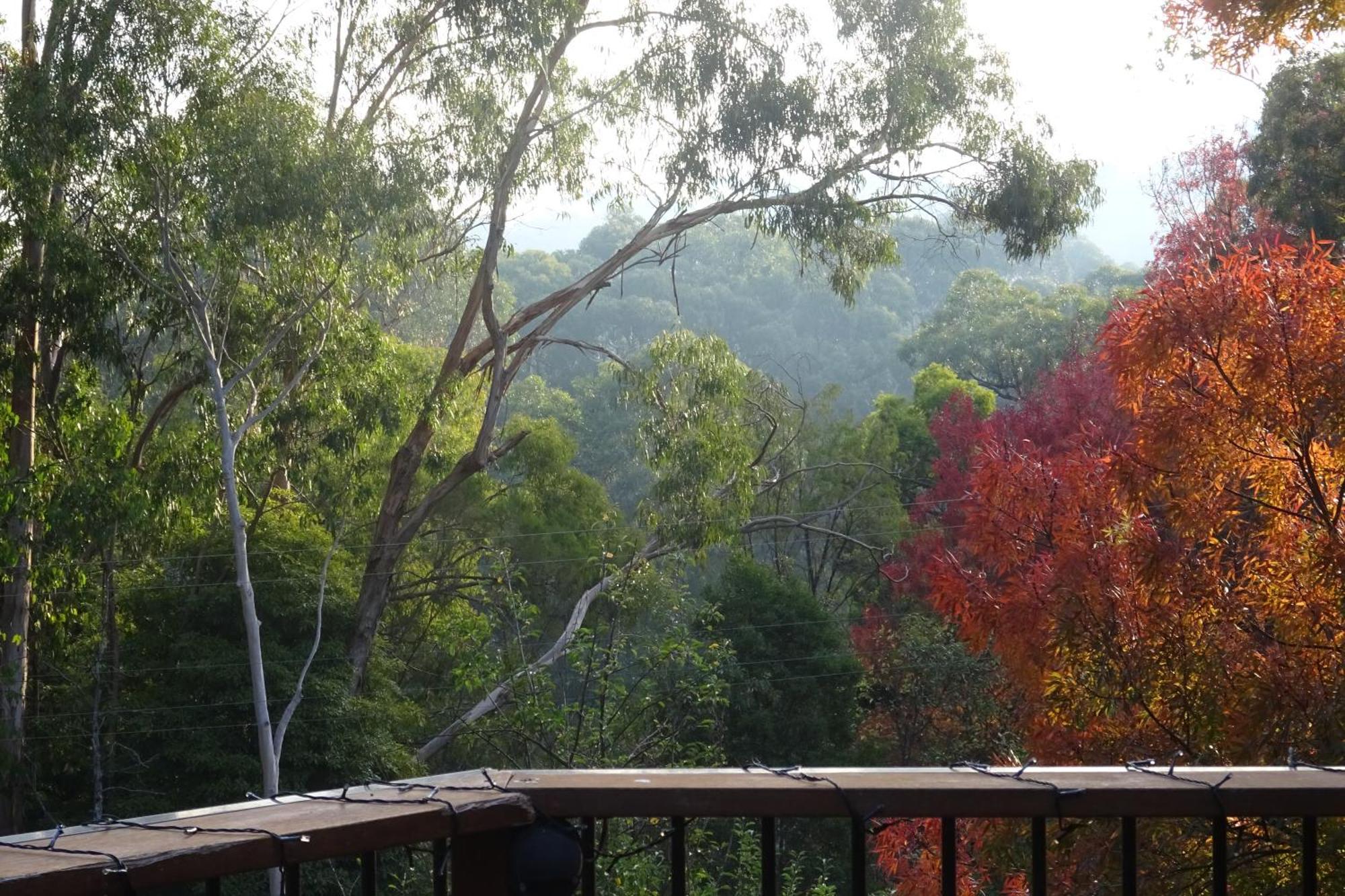 Yarra Ranges Country Apartment Mount Evelyn Экстерьер фото