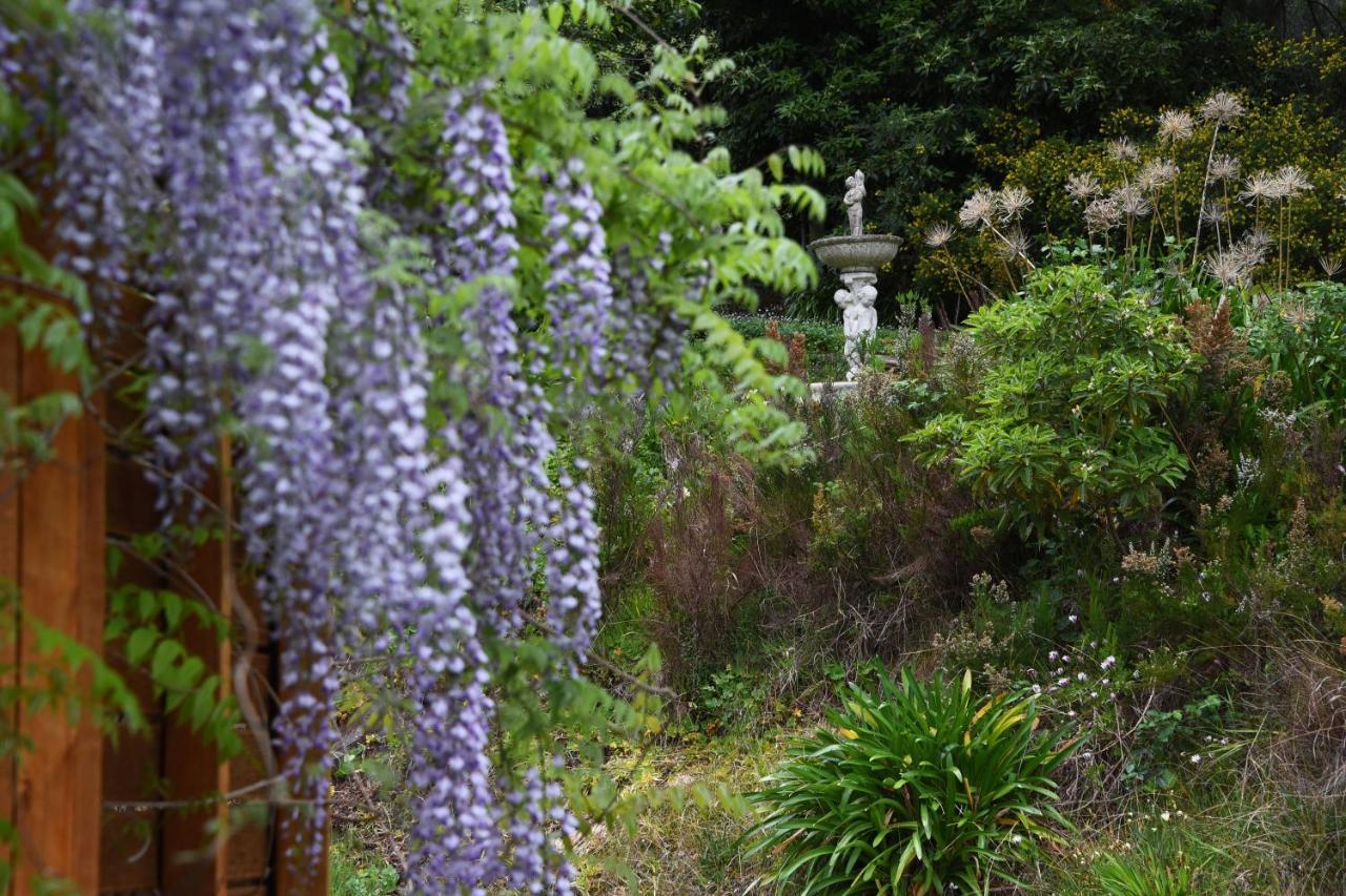 Yarra Ranges Country Apartment Mount Evelyn Экстерьер фото